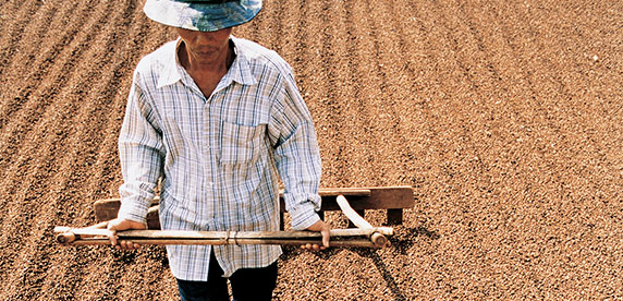 vietnam_coffee_irrigation_farmer.jpg