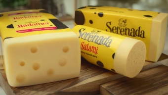 Karnawał serów 