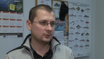 Ryby w tym roku znów podrożeją