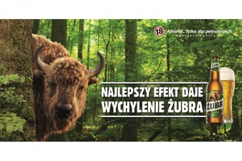 Żubr się wychyla - rusza nowa kampania reklamowa piwa Żubr 