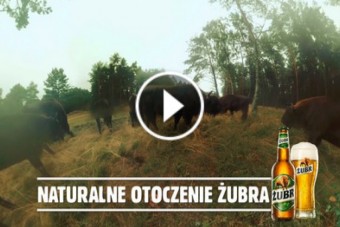 Żubr zaprasza do środka stada – wideo 360˚na Facebooku marki