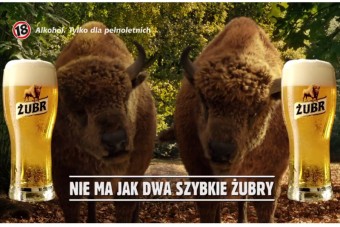 Nie ma jak dwa szybkie Żubry – premiera nowego spotu Żubra na Facebooku marki