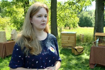 W Polsce z każdą sekundą ubywa 105 pszczół