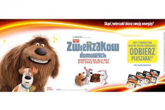 Kup promocyjny produkt Energizer i odbierz pluszaka z filmu „Sekretne życie zwierzaków domowych”