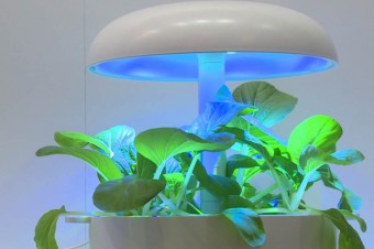 Technologia zaczerpnięta od NASA pozwala na uprawę roślin i warzyw w domu