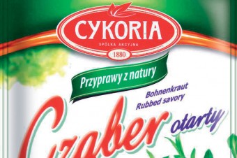 Cząber Cykoria