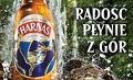 Harnaś bohaterem zbójnickiej wystawy 