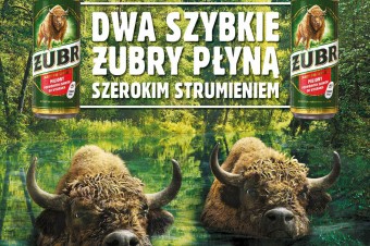 Dwa Szybkie Żubry płyną szerokim strumieniem