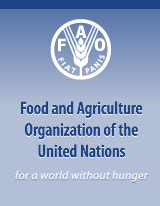Polska Koordynatorem FAO/WHO dla Europy