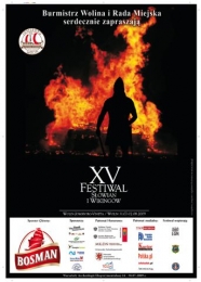 Bosman wśród Wikingów - rozpoczyna się XV Festiwal Słowian i Wikingów