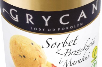 Grycan – Wegańskie sorbety z owoców