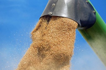 Kernel miał 25,9 mln USD zysku netto w III kw. 2018/19