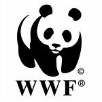WWF Polska i firmy z systemu Coca-Cola zapraszają mieszkańców stolicy na piknik ekologiczny