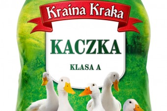 Kaczka z Krainy Kraka