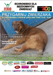 Akcja 
