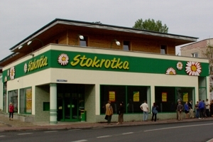 Stokrotka szuka pracowników