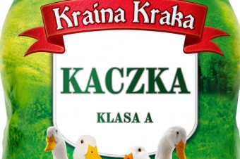 Kaczka Kraina Kraka