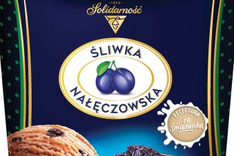 Lody familijne Śliwka Nałęczowska 500 ml
