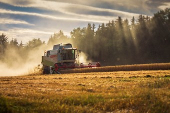 Rolnicy poszkodowani przez COVID-19 dostaną nadzwyczajne wsparcie. W ciągu kilku tygodni trafi do nich ponad 1 mld zł