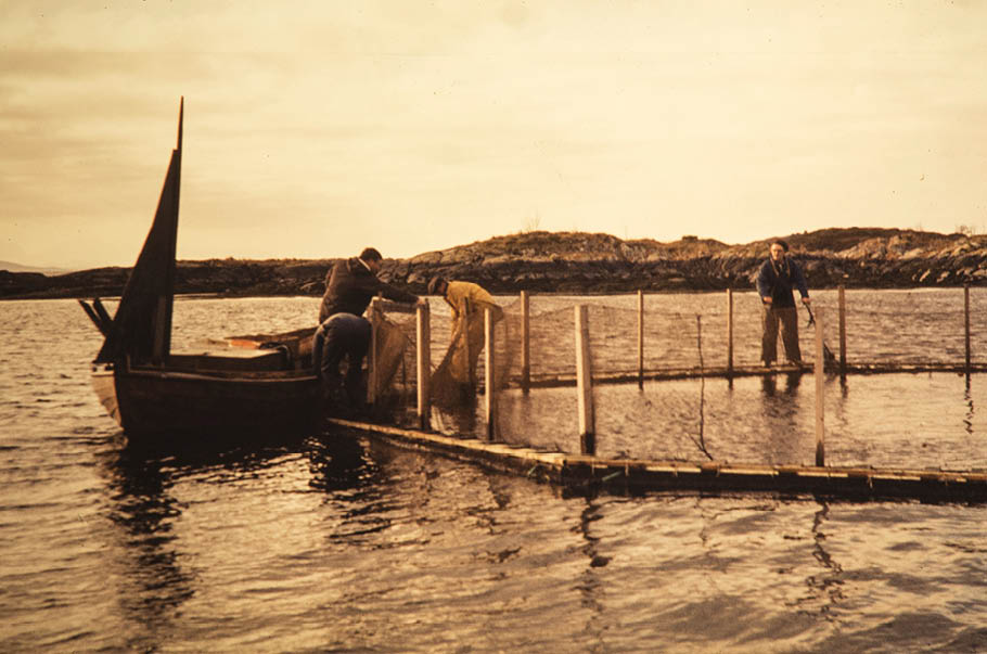 Bracia Grøntvedt, zagroda łososi, 1972. Credits: Nationalbiblioteken, Magnus Berg