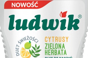 Ludwik płyny do mycia naczyń