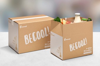 Mondi rozszerza asortyment produktów dla e-handlu o opakowanie do transportu świeżej żywności BCoolBox