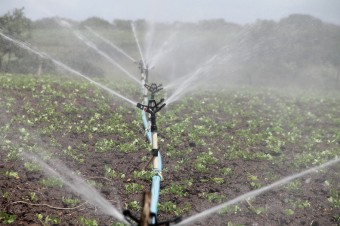 Przez zmiany klimatu uprawy rolnicze wymagają coraz większego nawadniania