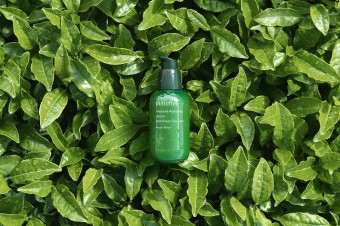 Wegańska marka Innisfree debiutuje w sieci perfumerii Sephora