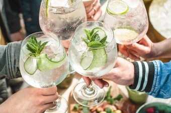 Portfolio Finlandia Vodka rozszerza się o nową kategorię Botanical