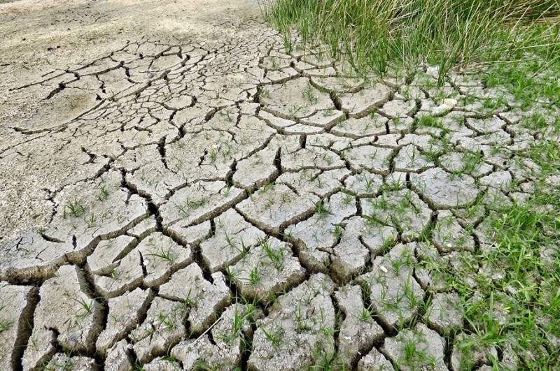 Wśród największych klimatycznych zagrożeń dla Polski są susze i niedobory wody pitnej