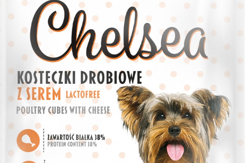 Chelsea – smaczki małego psa