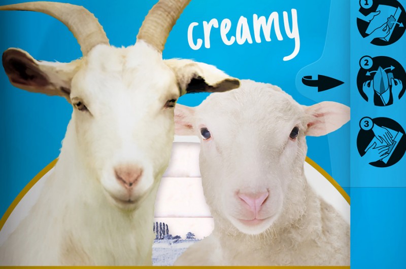 Goat Farm ser kozio-owczy w plastrach