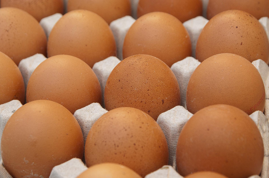 Europejski producent jaj Eurovo rezygnuje z chowu klatkowego