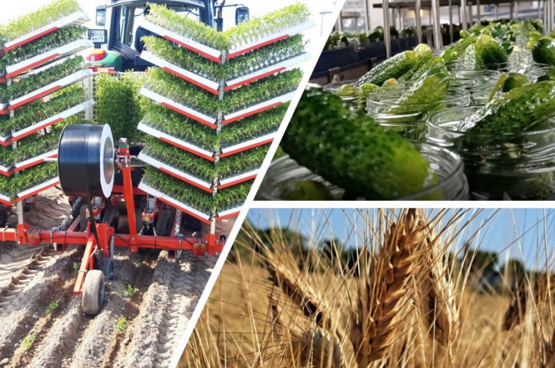 Grupa Maspex rozwija projekty wspierające zrównoważone rolnictwo