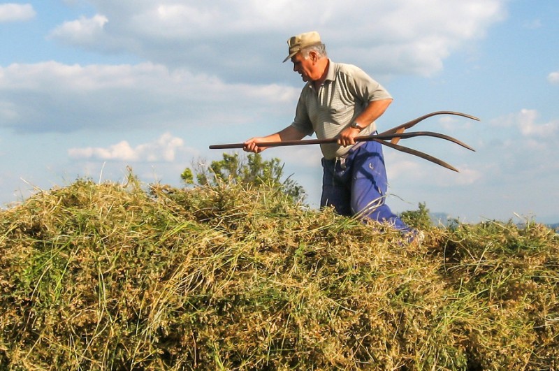 Dobrowolne ubezpieczenia coraz popularniejsze wśród rolników