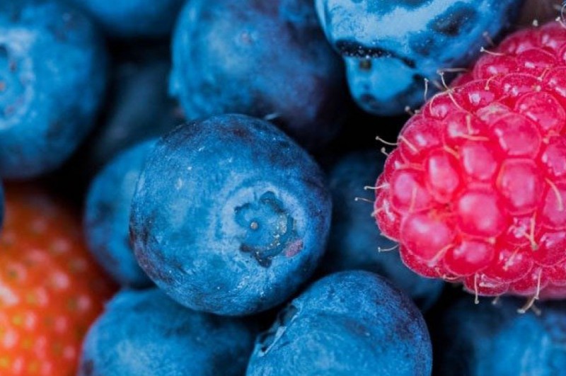 Owoce jagodowe a odporność – co warto wiedzieć