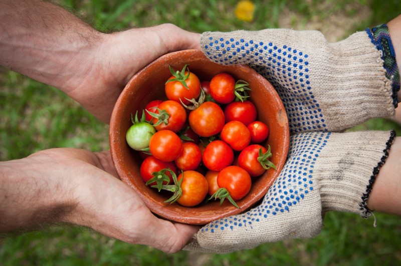 Lidl Polska i Fundacja WWF Polska promują dobre praktyki w zakresie zrównoważonej produkcji i konsumpcji