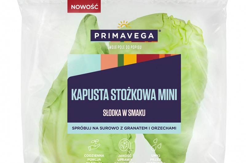 Kapusta Stożkowa Mini