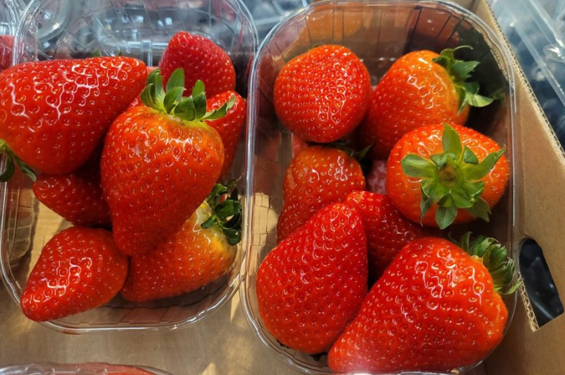 Carrefour otwiera sezon na polskie truskawki
