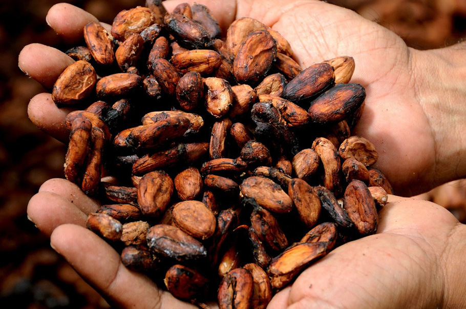 Kakao na światowych giełdach osiągnęła rekordowy poziom 