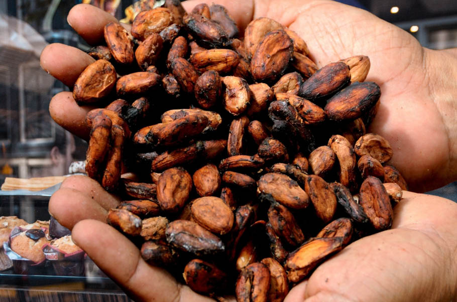 Ceny kakao idą na nowy rekord, a to nie koniec