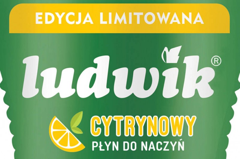 Kampania internetowa płynów do mycia naczyń Ludwik