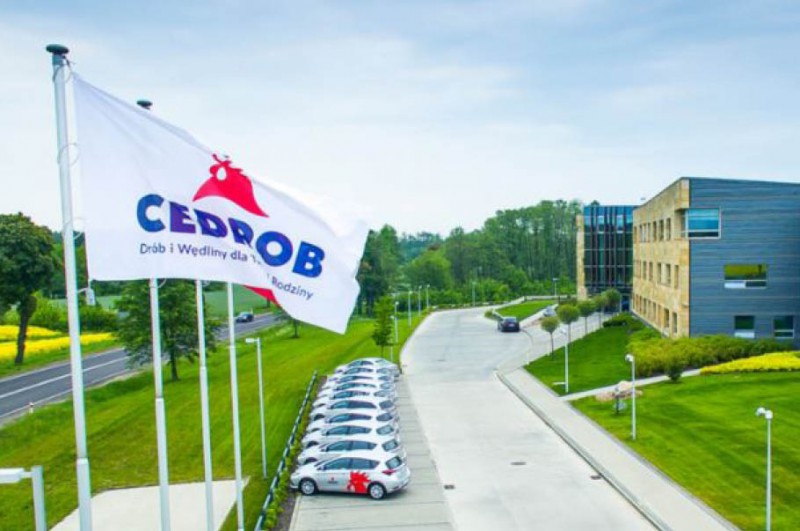 CEDROB FOODS S.A. sponsorem Akademii Piłki Nożnej Zagłębia Sosnowiec