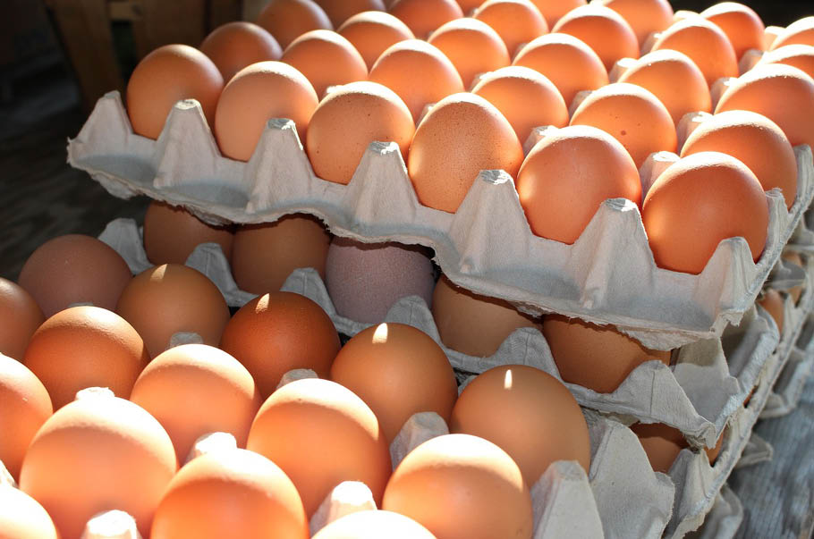 Branża apeluje: standardy znakowania jaj w Polsce nie mogą ulec zmianom