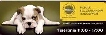 Szczeniaki i psie atrakcje w Bonarce