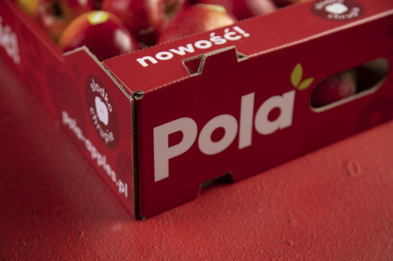 Jabłko Pola – słodko chrupie! Nowość w Lidl Polska 