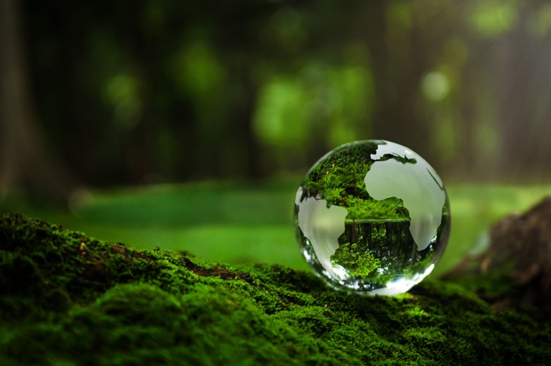 MŚP dostrzegają znaczenie ESG, ale w działania angażuje się tylko część z nich