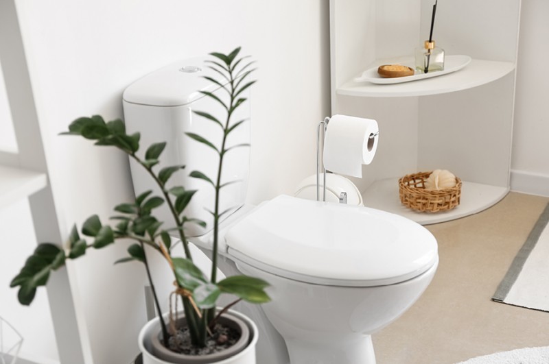 Czysto i świeżo – WC pod lupą