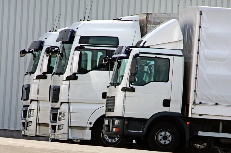 Rośnie optymizm w TSL. Co trzecia firma zapowiada większą sprzedaż