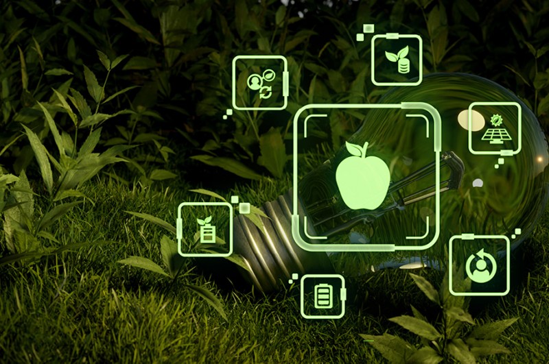 Produkty innowacyjne – w którą stronę zmierza rynek spożywczy?